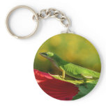 Canopy Red, JLH Key Chain