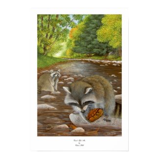 Two Raccoons