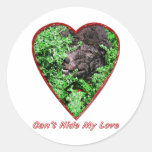 Can't Hide My Love Sticker