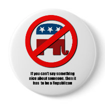 Can't say anything nice about Republicans Pin