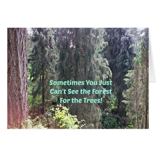 Can't see the forest for the trees. card Zazzle