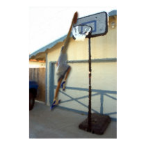 Can't Stop The Sky posters