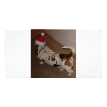 CAN'T WALK AWAY FROM CHRISTMAS PHOTO CARD TEMPLATE