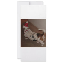 CAN'T WALK AWAY FROM CHRISTMAS rack cards