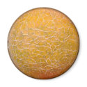 Cantaloupe 2 Watercolor - Magnet by monkley_designs Cantaloupe 2 Watercolor - Magnet