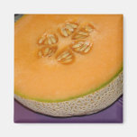 Cantaloupe Fridge Magnet