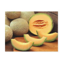 Cantaloupe Postcard