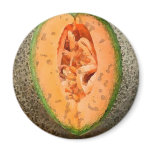 Cantaloupe  Watercolor - Magnet