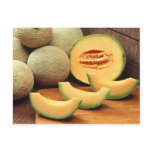 Cantaloupes Postcards