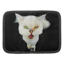 Cantankerous, cute crazy cat organizer