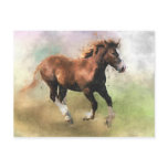 Cantering foal postcard