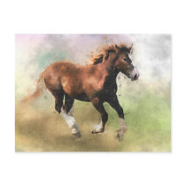 Cantering foal postcard