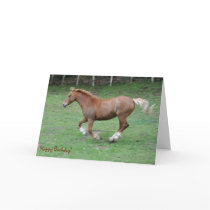 Cantering Welsh cob birthday card