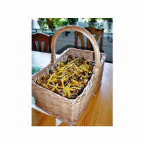 Cantharellus Tubaeformis photo sculptures