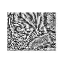 Canvas Art Canvas Print