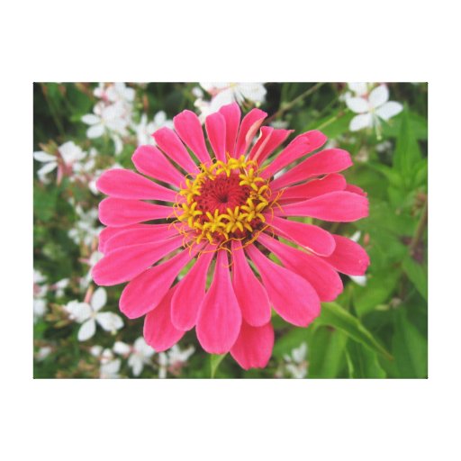 Canvas Art  Flower Canvas Print