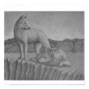 Canvas Art Print. Dingos also (warrigal) wolf-like