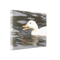 Canvas: Aylesbury Duck