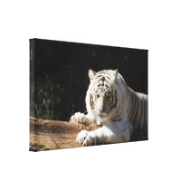 Canvas Bengal Tiger Canvas Print
