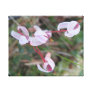 Canvas Flower canvas prints