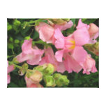 Canvas Flower Canvas Prints