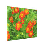 Canvas Flowers Canvas Print
