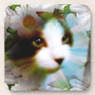 canvas kitty coasters