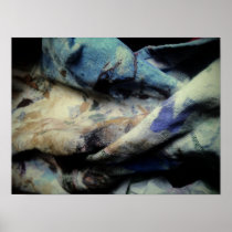 Canvas posters
