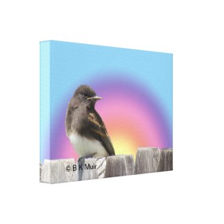 Canvas print - Bird on fence