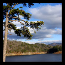 Canvas Print "Blue Daze"