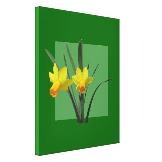 Canvas Print - Daffodils