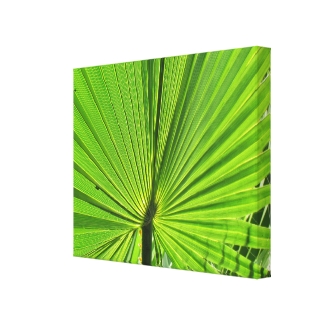 Canvas Print - Palm Frond