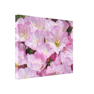 Canvas Print - Pink Flowers