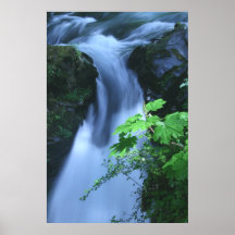 Canvas Print: Sol Duc Falls