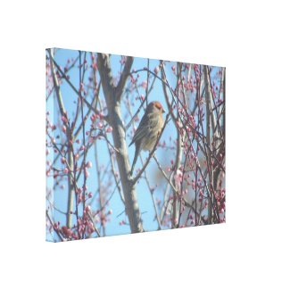 Canvas Print - Spring contemplation