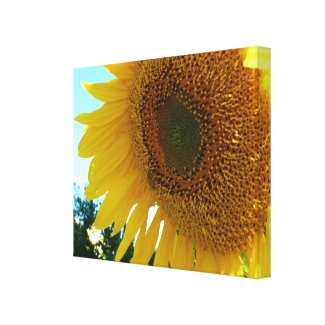 Canvas print - Sunflower and bee