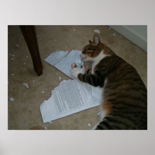 Cat homework poster 06 picture