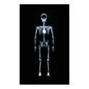 Canvas Print X-Ray Vision Blue Single Skeleton by VoXeeD Canvas Print X-Ray Vision Blue Single Skeleton