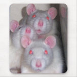 Canvas Style Three Blind Rats Mouse Pad