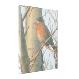 Canvas - Winter Robin