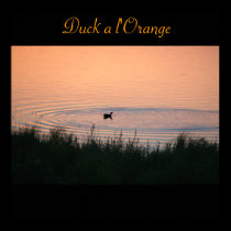 Canvas with Title, Duck a l'Orange posters