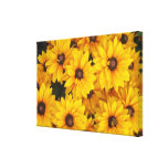 Canvas - Wrapped - Gloriosa Daisies Stretched Canvas Print