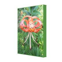Canvas - Wrapped - GR-RRR Tiger Lily Canvas Prints