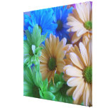 Canvas - Wrapped - Green Facing Left Daisies Stretched Canvas Print