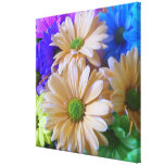 Canvas - Wrapped - Multicolored Daisies Gallery Wrap Canvas