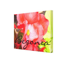 Canvas - Wrapped - Red "Begonia" Gallery Wrap Canvas