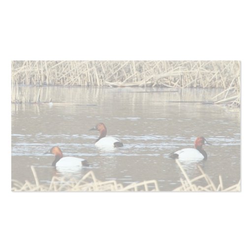 Canvasback drakes business card (back side)