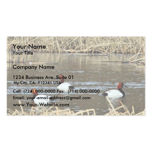 Canvasback drakes business card