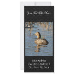 Canvasback hen customized rack card