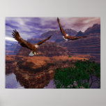 Canyon Flight Poster